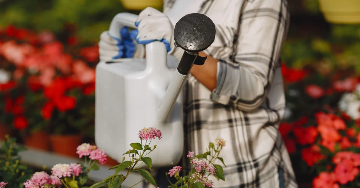 ベランダの鉢植えへ散水タイマーと点滴ホースで自動給水する様子