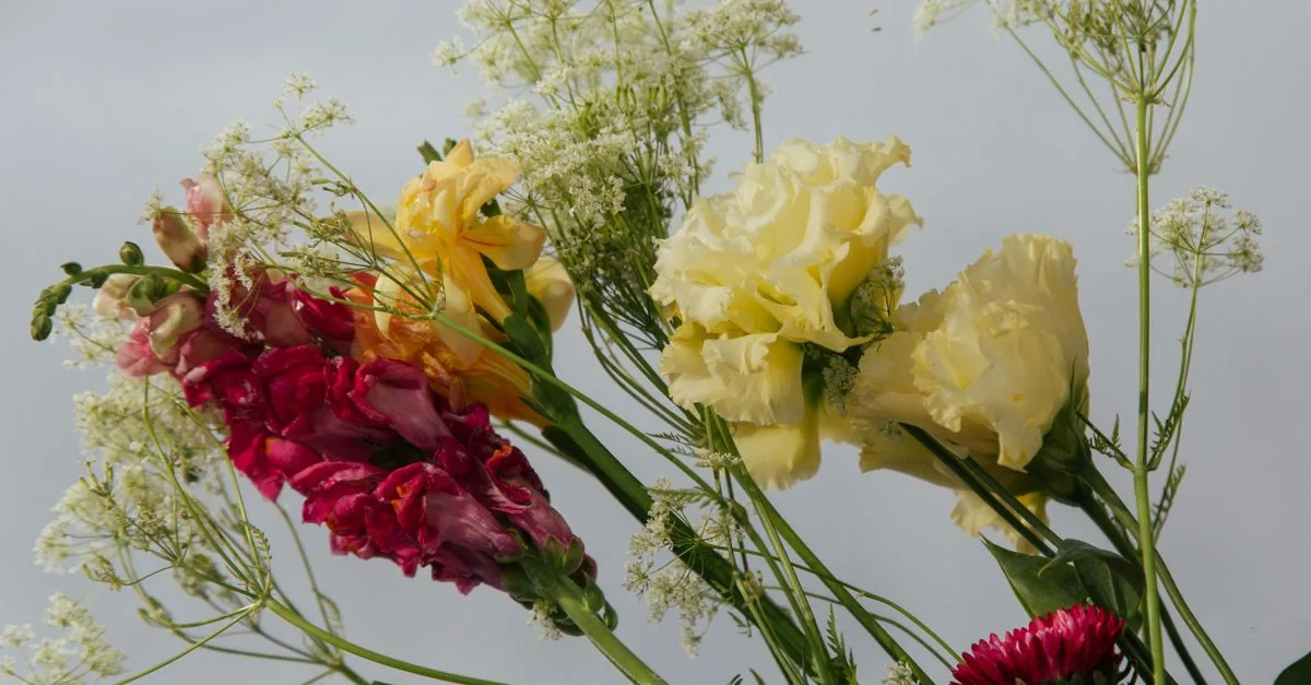 切り花を生けた複数の花瓶と市販延命剤を並べて比較する様子