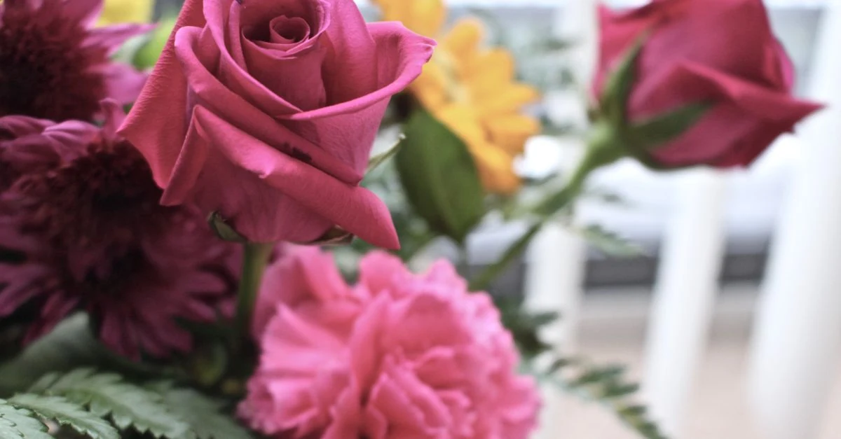 バラとアジサイとコチョウランを組み合わせた母の日の花ギフト
