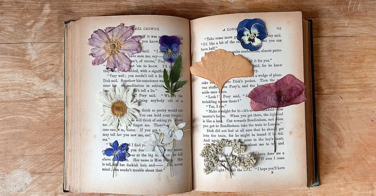 新聞紙と紙の上に花びらを並べて押し花を作る様子