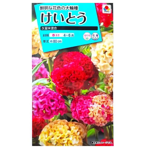 タキイ種苗 けいとう 久留米混合