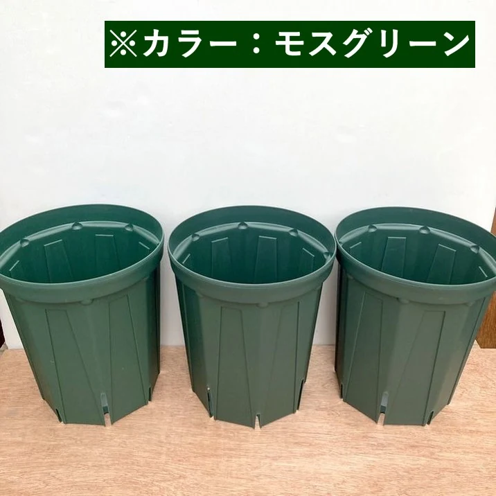 スリット鉢 8号ロング 3鉢セット 資材04-PA