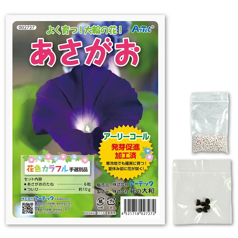 あさがおの種