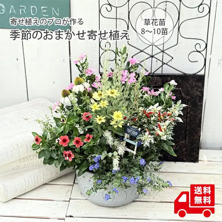 季節のおまかせ寄せ植え
