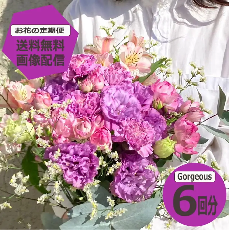 Gorgeousサイズ6回分