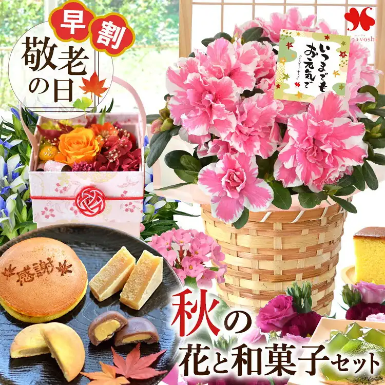 敬老の日 花とお菓子セット 15通り