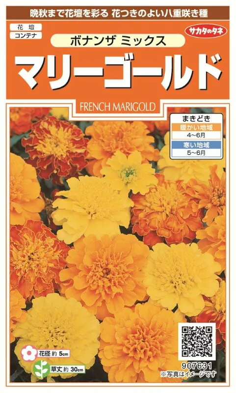 サカタのタネ 実咲マリーゴールド ボナンザミックス 10袋