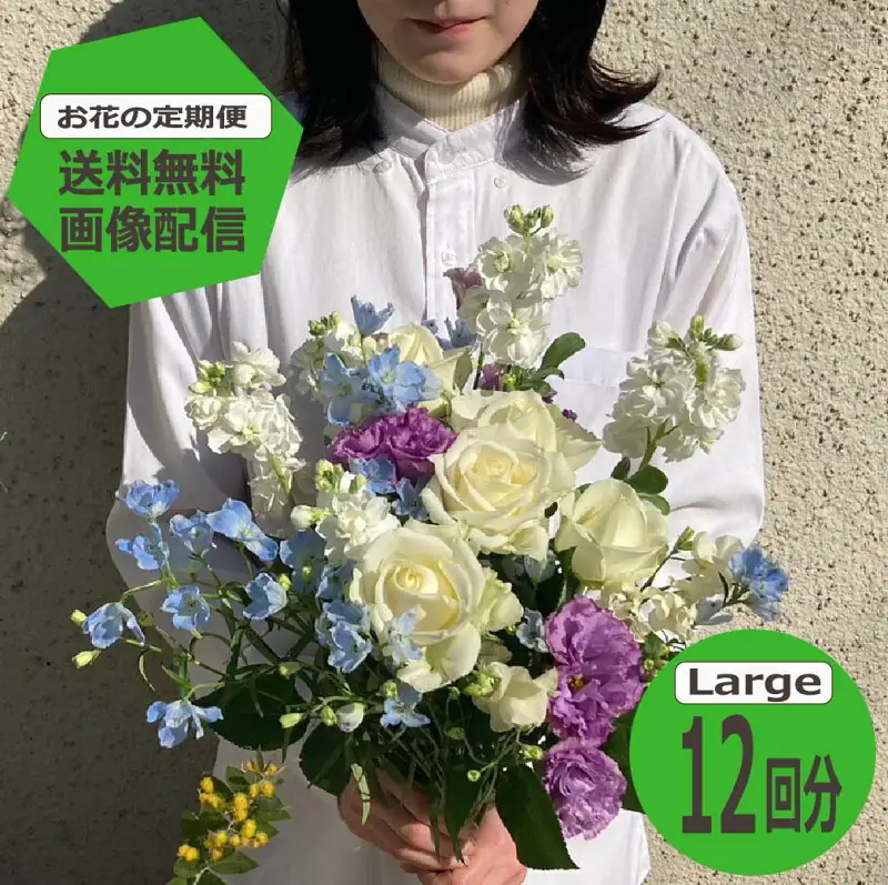 Largeサイズ12回分