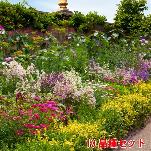 イングの森 オススメ花苗10品種セット