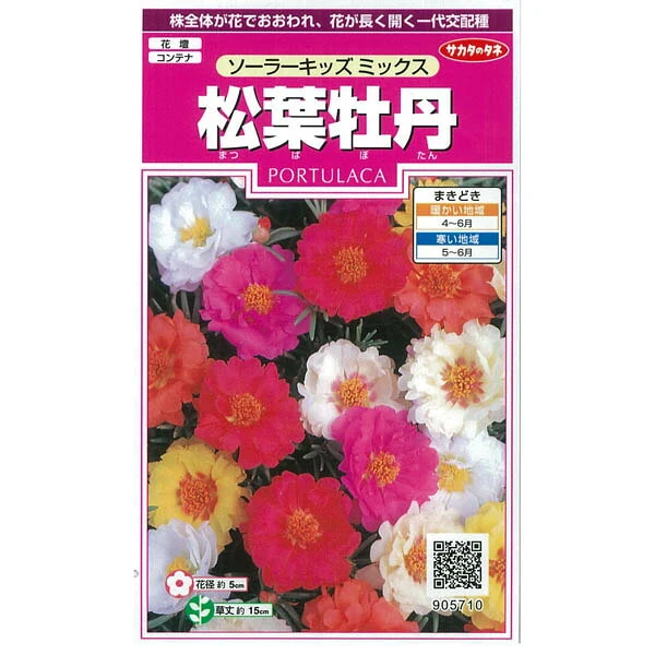 マツバボタン ソーラーキッズミックス