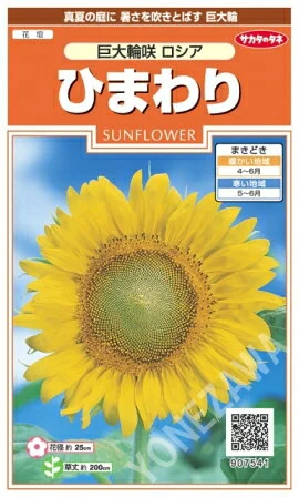 ヒマワリ 巨大輪咲 ロシア 907541